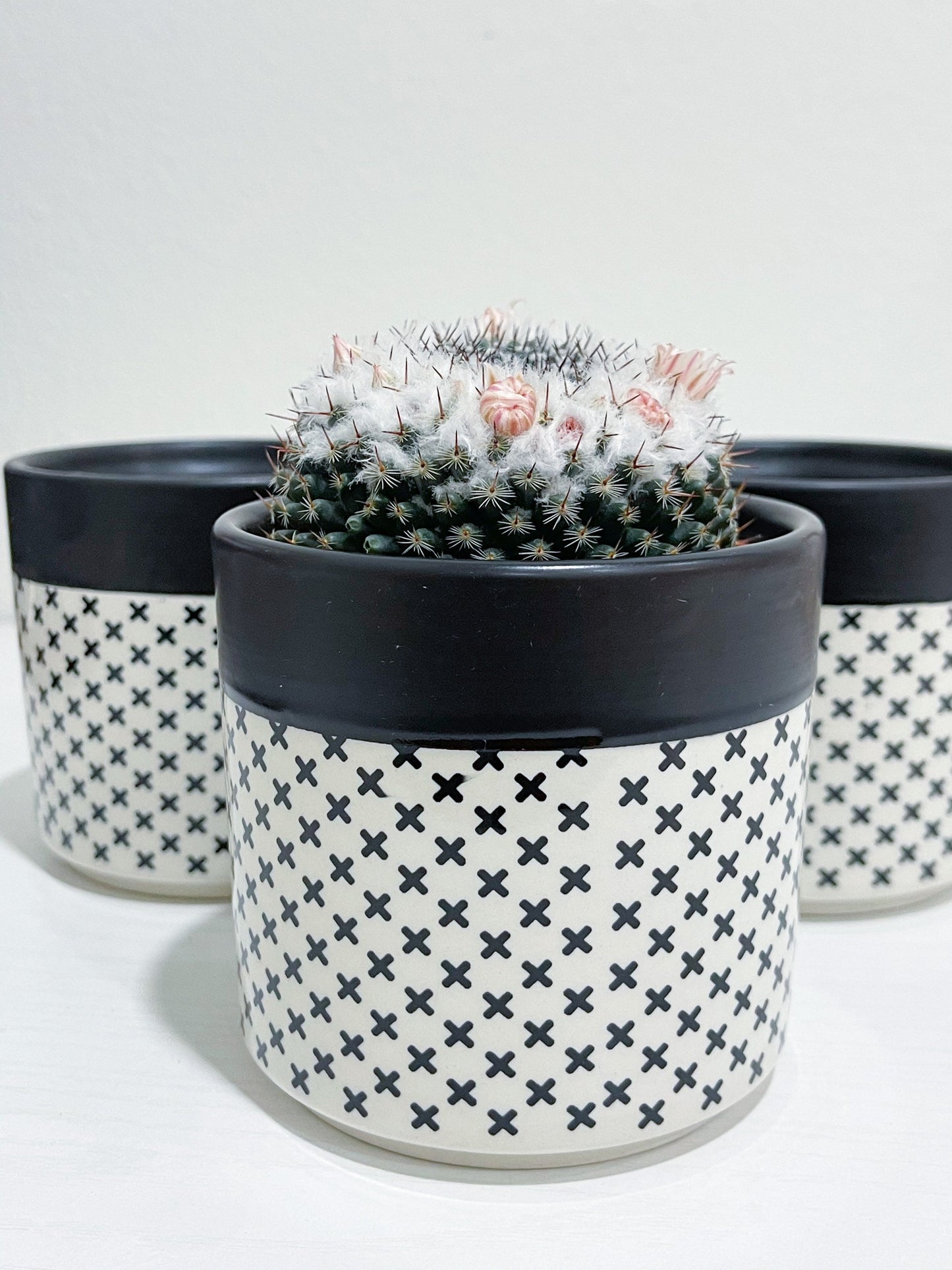 Black Theme Indoor Ceramic cactus & succulents Pot | Planter Succulent | Planter Flower Pot | Outdoor Garden Bonsai Pots